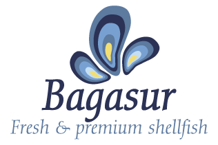 logotipo bagasur